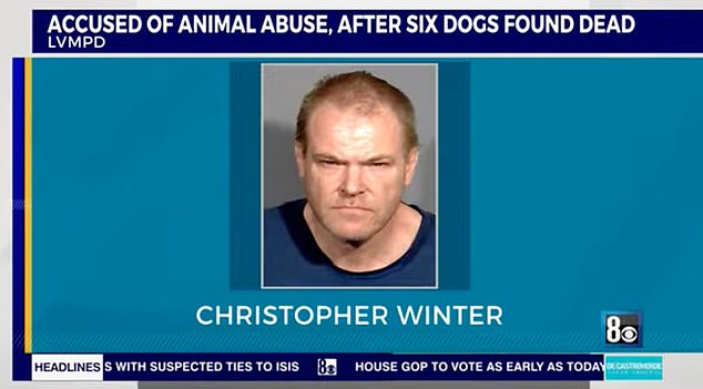 Credit: 8 News Now. Las Vegas police arrested on Tuesday arrested a man after discovering six dead dogs inside his vehicle. The police also found more animals. They said the temperature was 105F