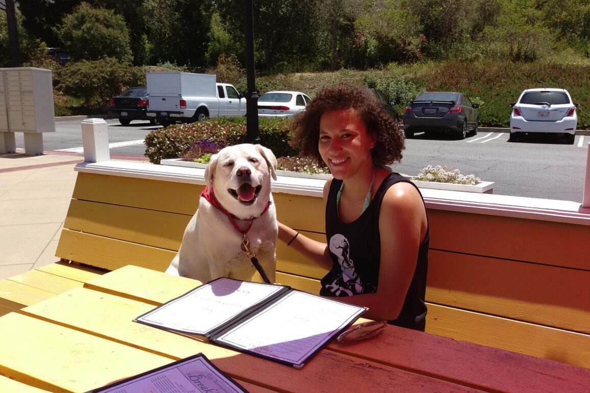 A person with curly hair is sitting at a bright yellow outdoor table with a smiling Labrador Retriever. Both have menus in front of them, and the dog is wearing a red bandana, looking happy and content. The background features a parking lot with cars and a green, leafy area.