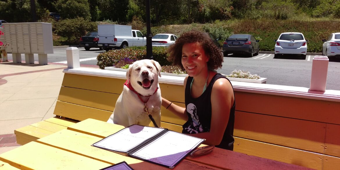 A person with curly hair is sitting at a bright yellow outdoor table with a smiling Labrador Retriever. Both have menus in front of them, and the dog is wearing a red bandana, looking happy and content. The background features a parking lot with cars and a green, leafy area.