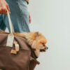 The image is by the Spanish duo Cup of Couple, and depicts a person carrying a stylish brown pet carrier bag with beige handles and leather accents. Inside the carrier is a small, fluffy Pomeranian dog, comfortably nestled and looking out. The carrier appears practical yet fashionable, perfectly suited for pet owners who prioritize both style and comfort for their furry friends. The person carrying the bag is wearing casual jeans, suggesting a relaxed outing or travel scenario. The overall scene conveys a sense of modern, on-the-go pet ownership.