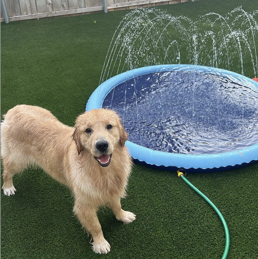 alex drummond splash pad for george