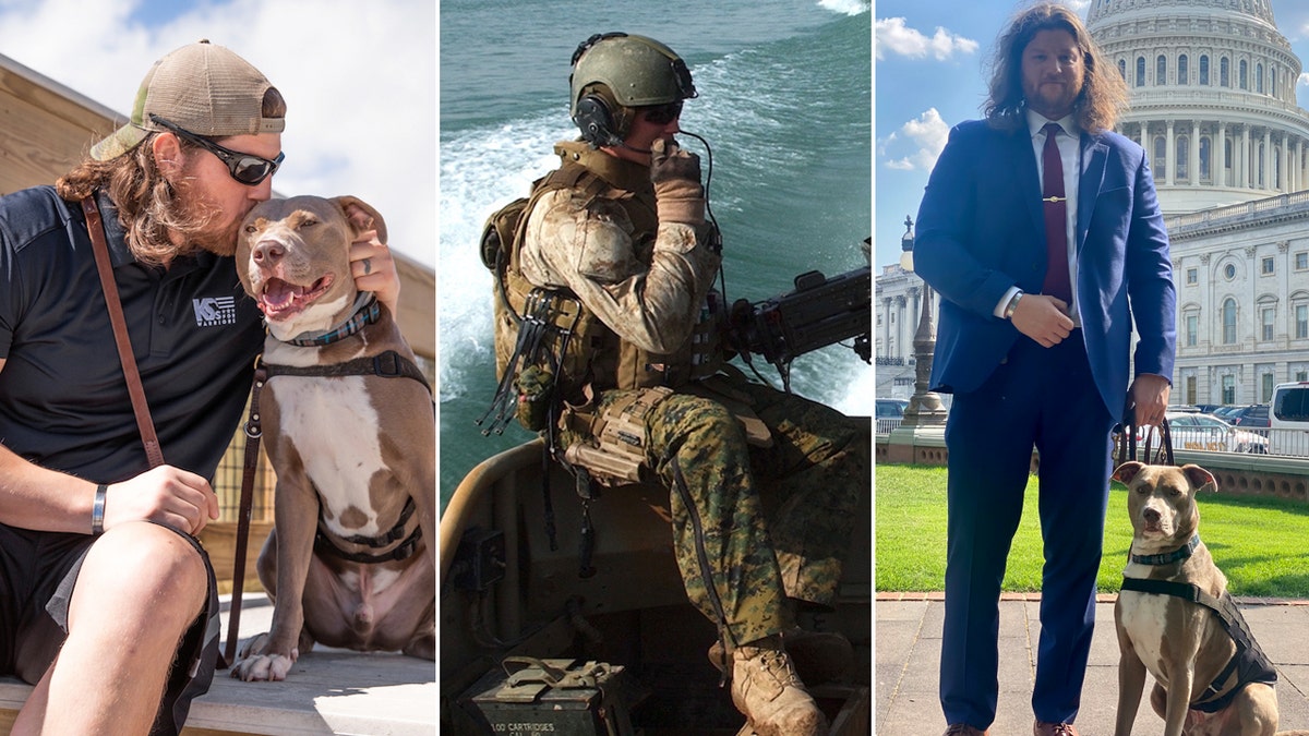 Veterans dogs