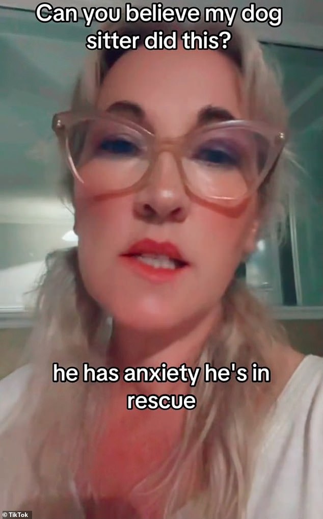 Ellen Tift, 54, unleashed a six minute rant after a dog sitter she hired to stay in her house to look after her dog pretended to sleep over and then lied to her when confronted with the truth