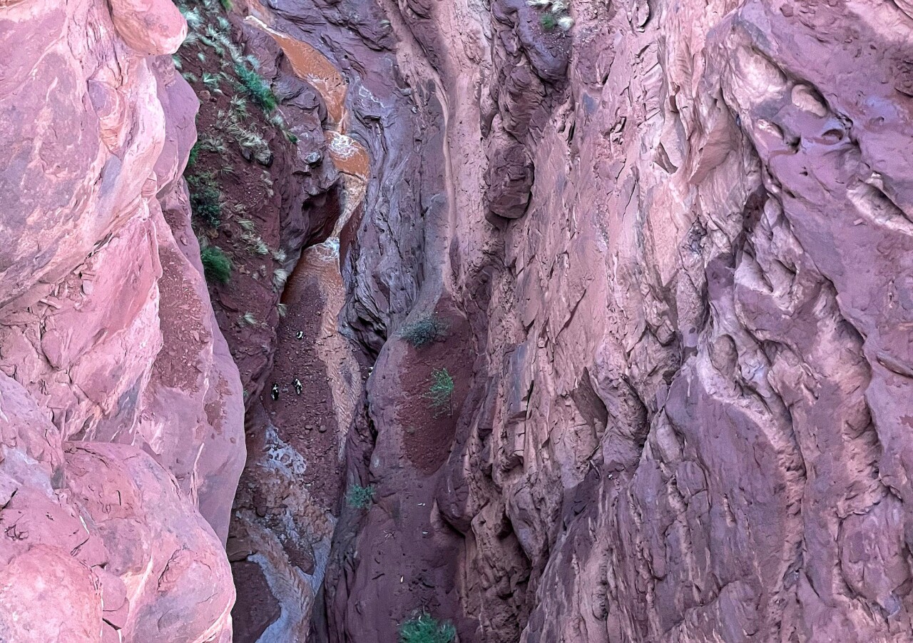 LaSal Mountains Canyon