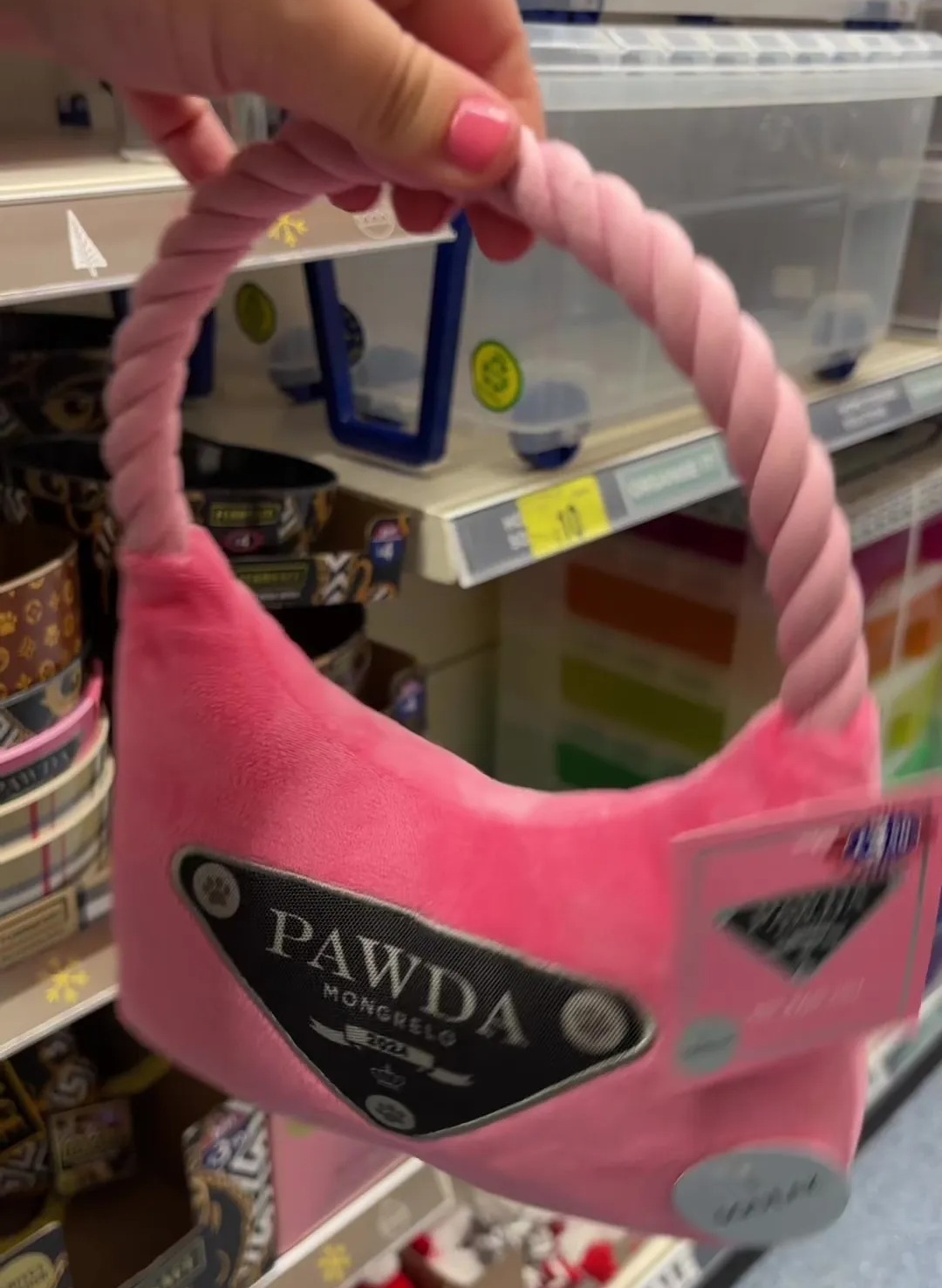 TikTok user Court showed her followers the designer doggie items she spotted at her local B&M