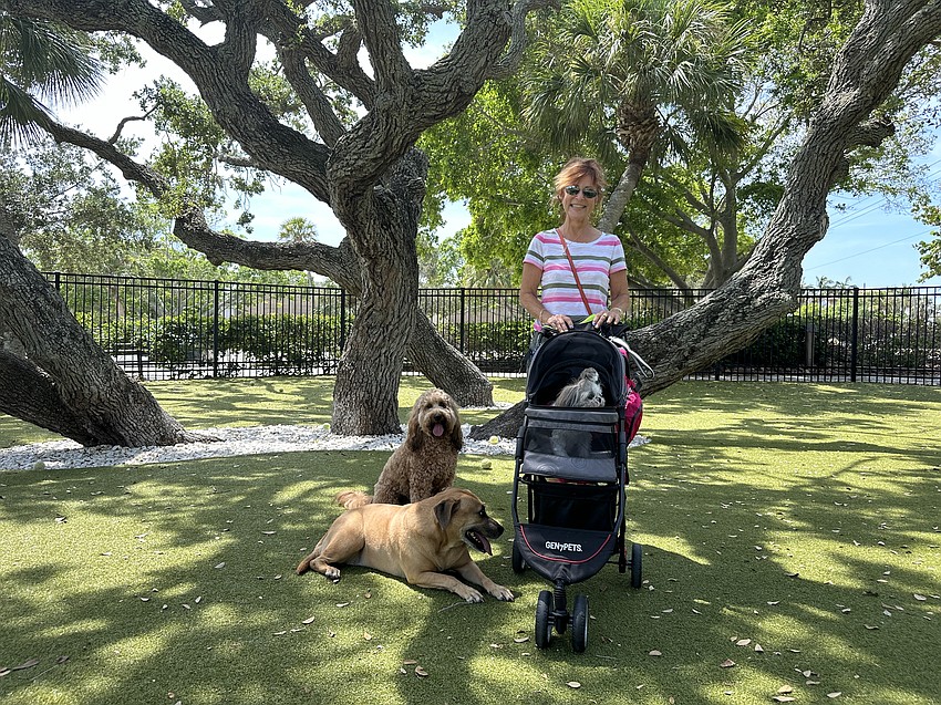 Debbi Nettlow and her three dogs — Louie, Mitzi and Lola — enjoy the dog park and the social aspect.