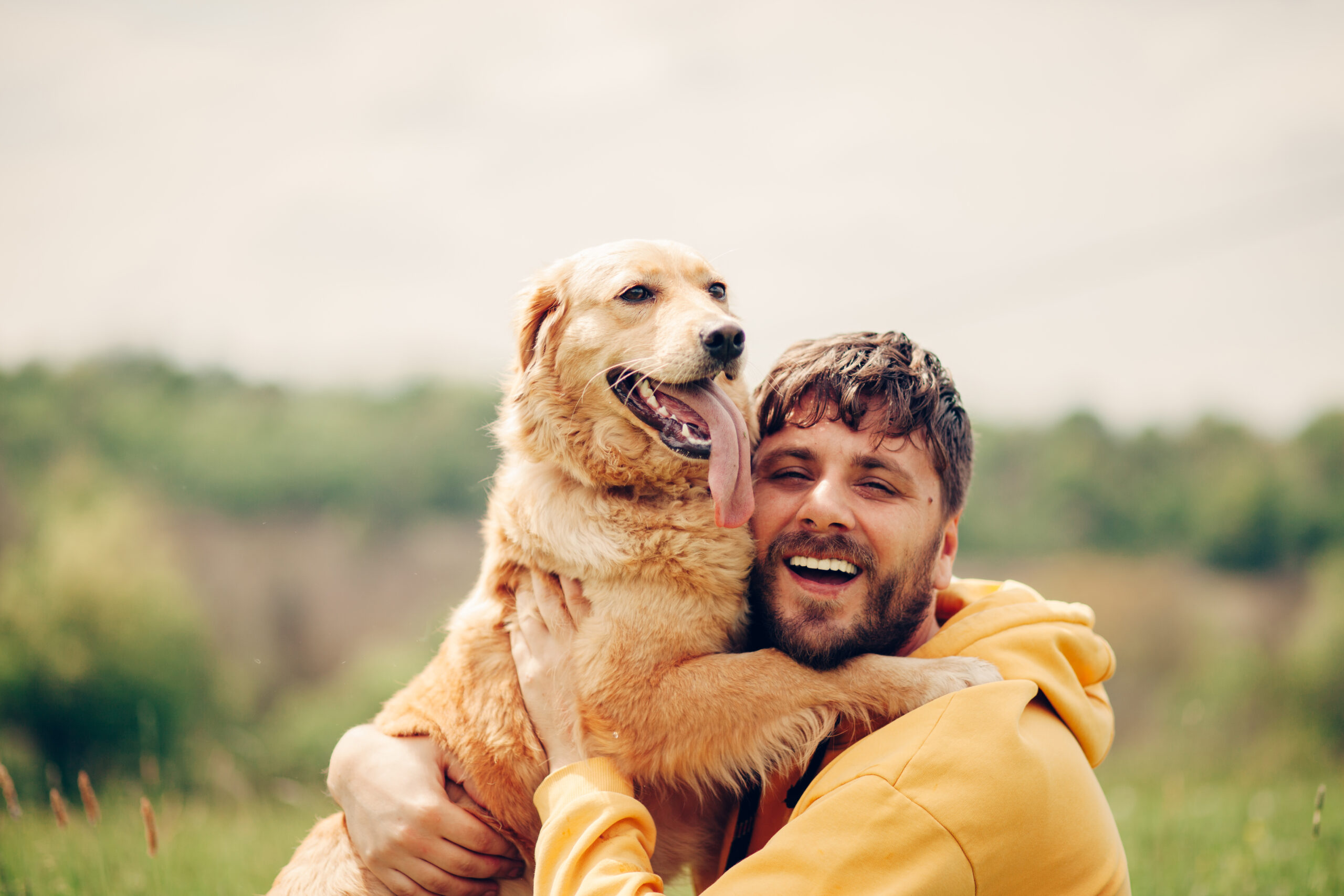 A new survey has found that dogs can improve people's mental and physical health (stock image)