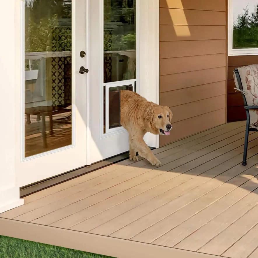 Dog passing through new pet door installed in pane of glass