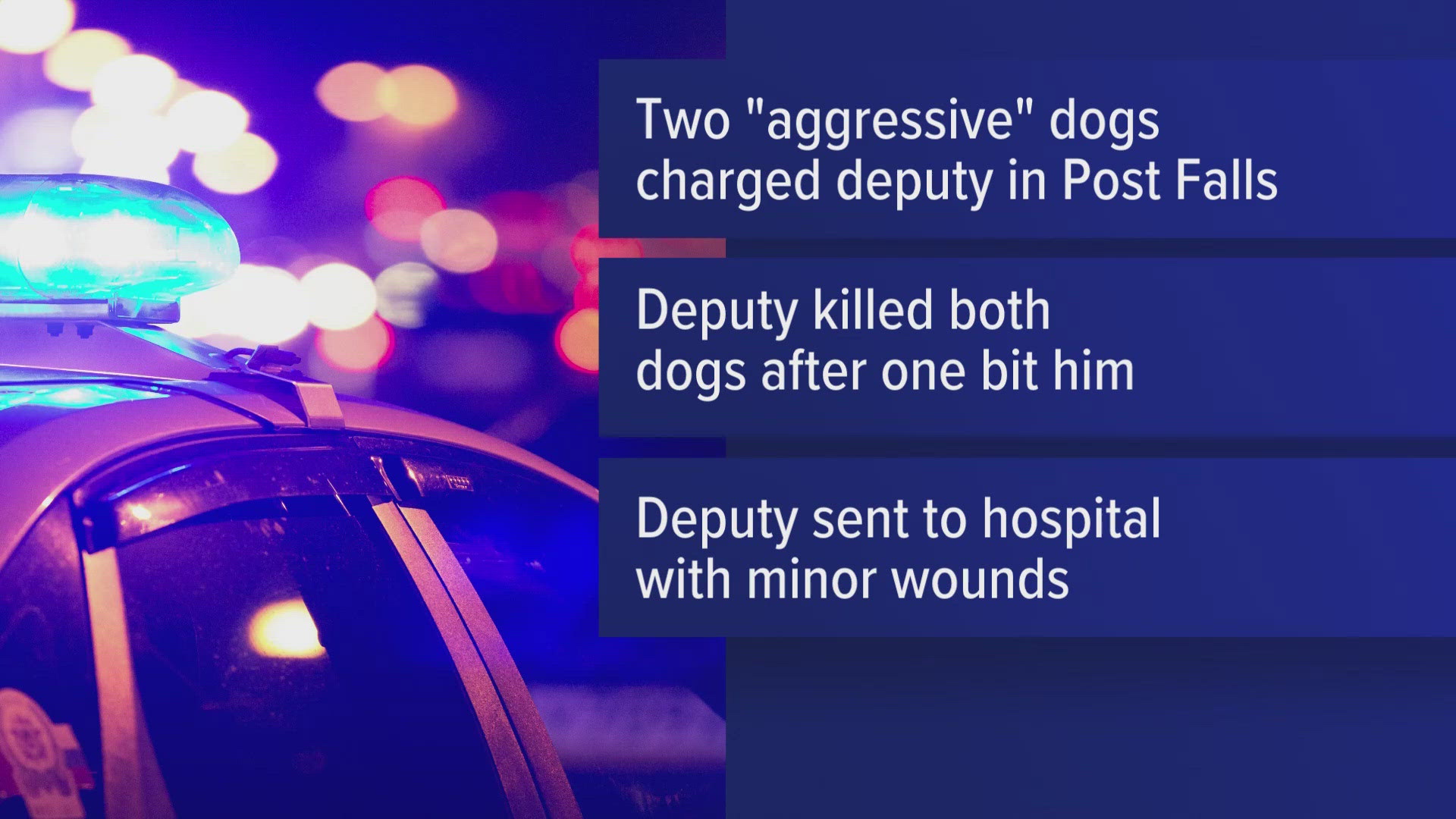 The sheriff's office said one of the dogs bit the deputy in the leg, and the sheriff's office fired his gun on the dog that bit him, along with another dog.