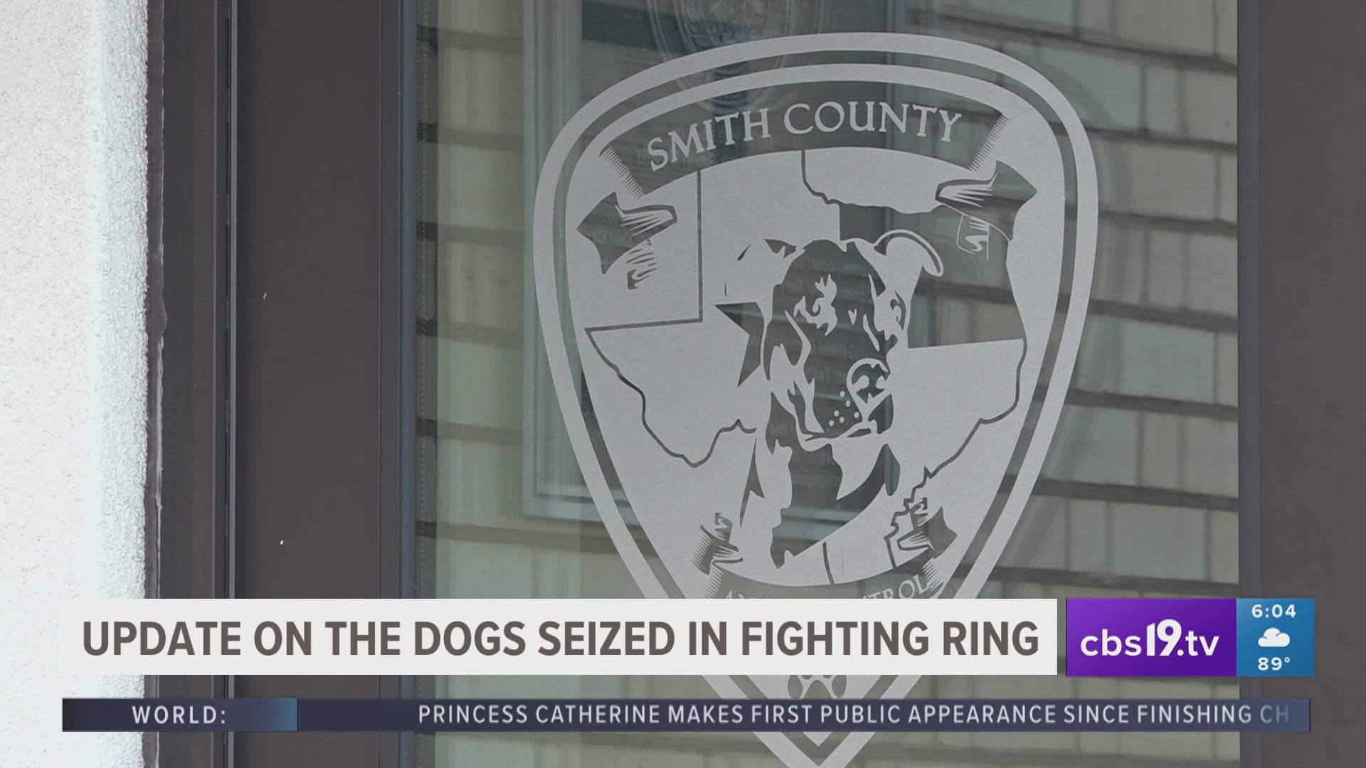 Confusion spreads about dogs in Smith County, which are safe and not able to be adopted yet