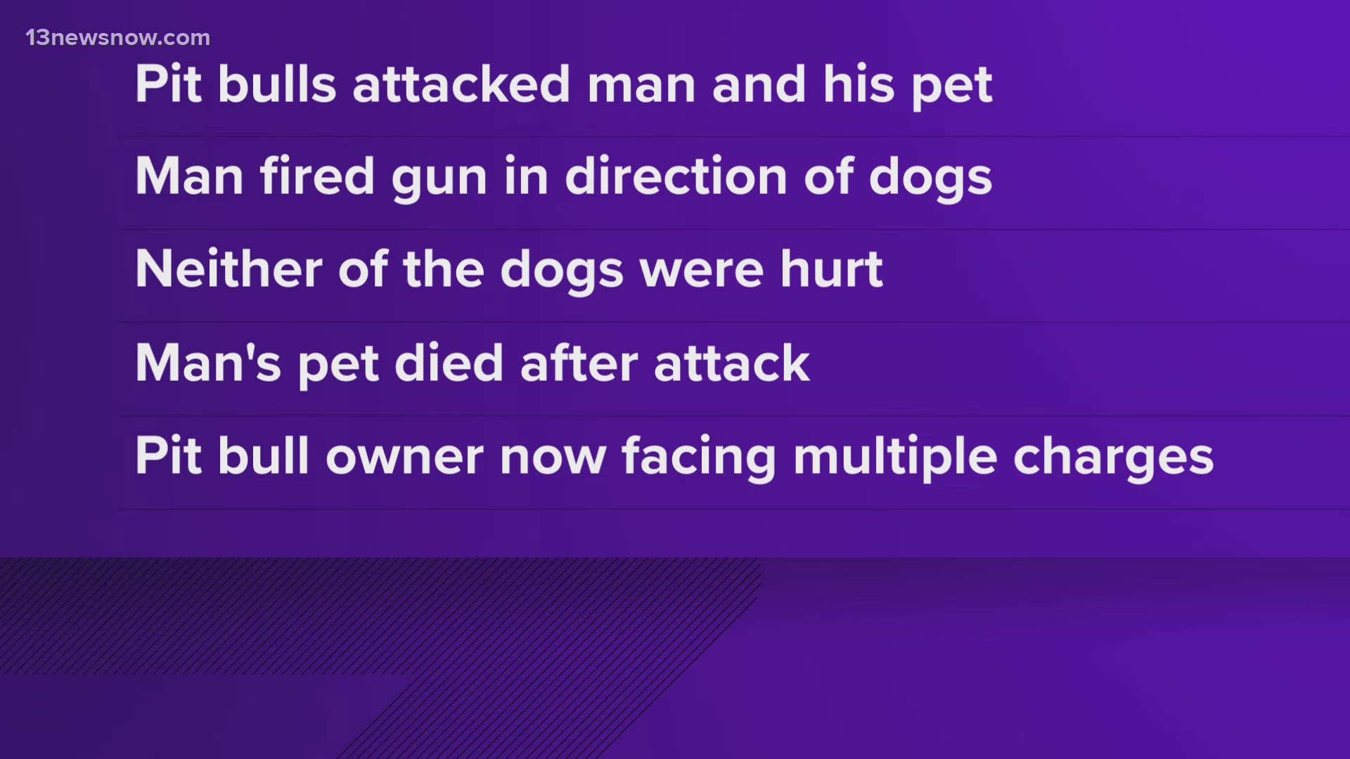 Two pit bulls attacked a man and his pet near the intersection of Long Green Lane and Phelps Circle in Hampton.