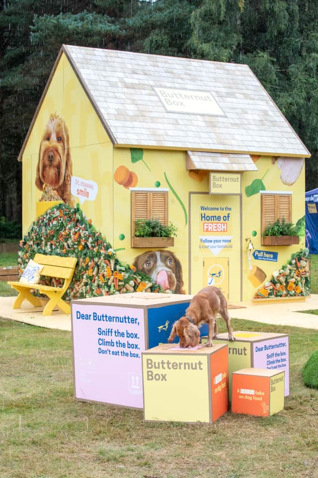 Butternut Box made an edible dog house to shine a light on the importance of feeding fresh