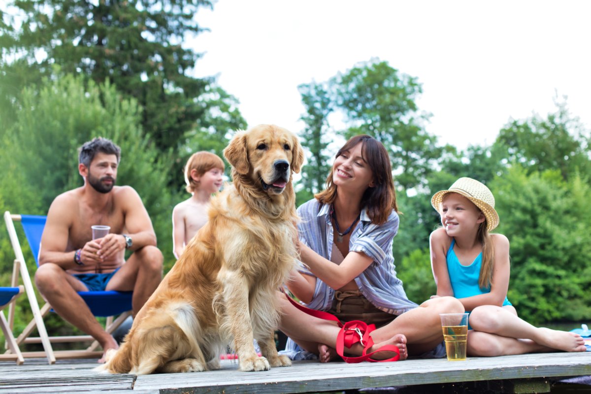 Golden retriever sitting next to a family.