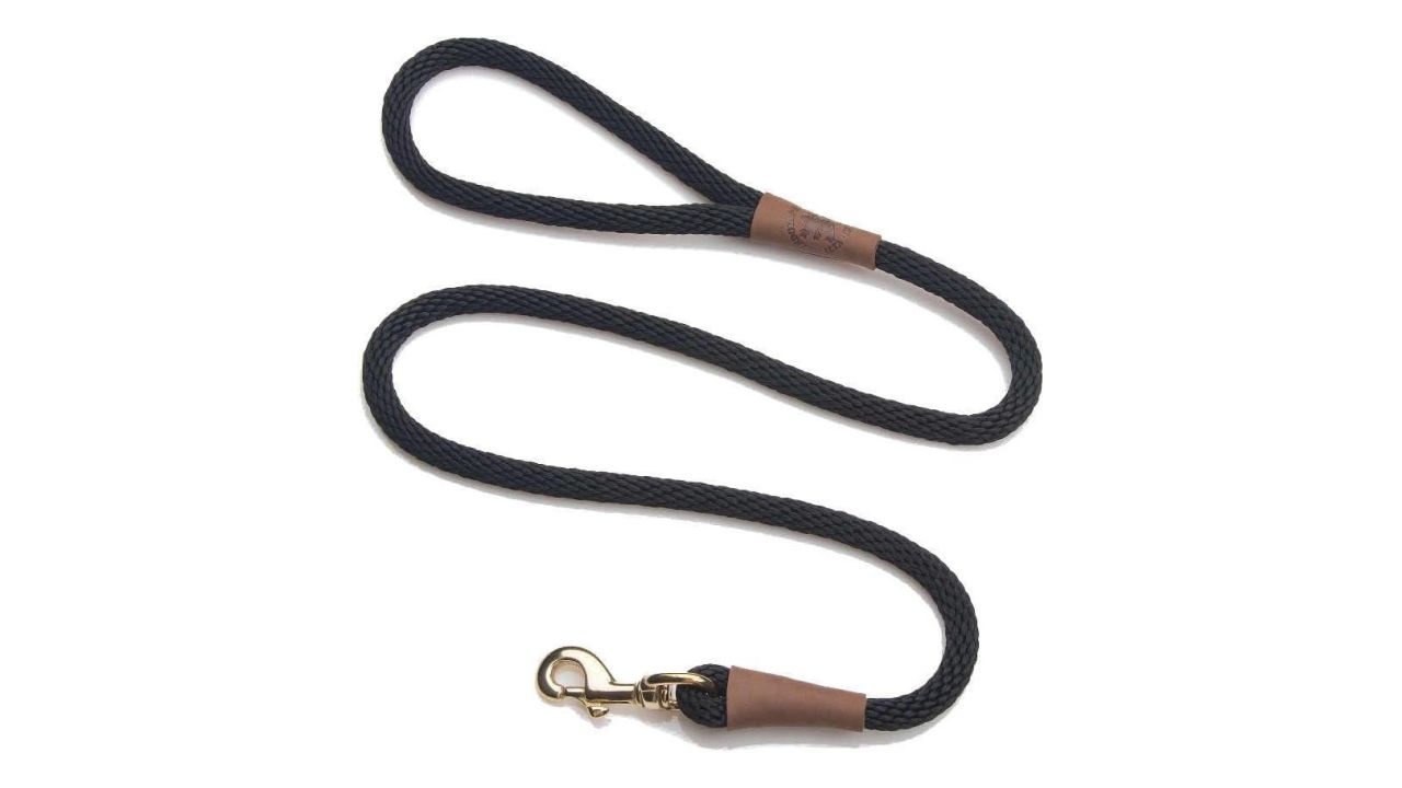 Mendota Pet Snap Leash product card cnnu.jpg