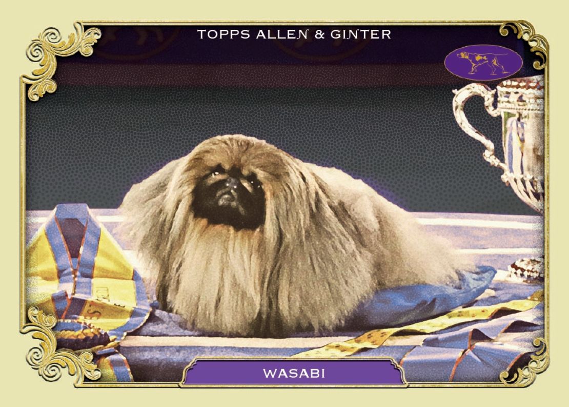 A card featuring Wasabi (officially known as GCHG CH Pequest Wasabi) the Pekingese, the 2021 