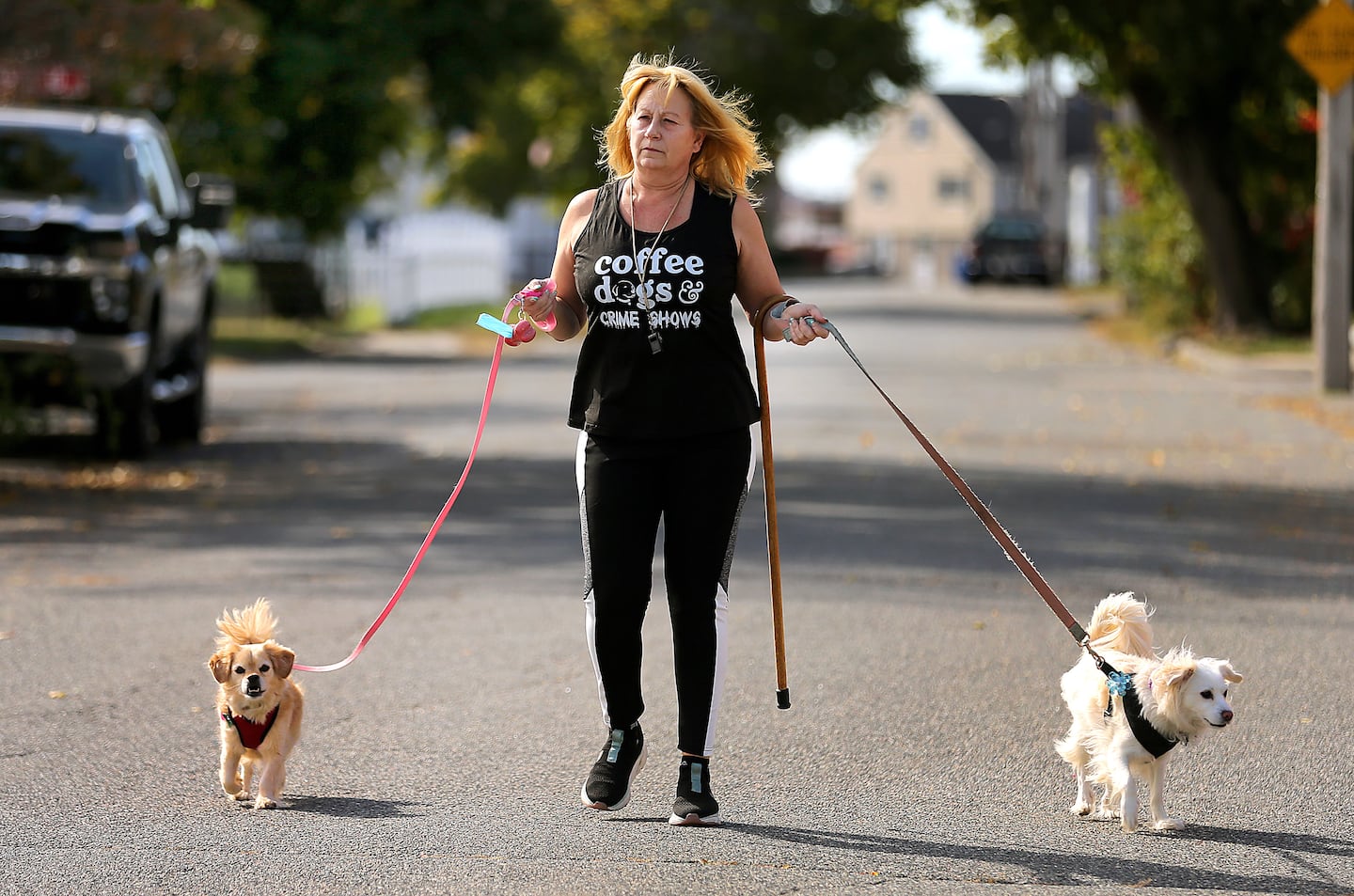 Ann Arsenault is taking no chances while walking her dogs, Bailey and Bunny, around Saugus. She carries a cane and a whistle which she hopes will scare coyotes away.