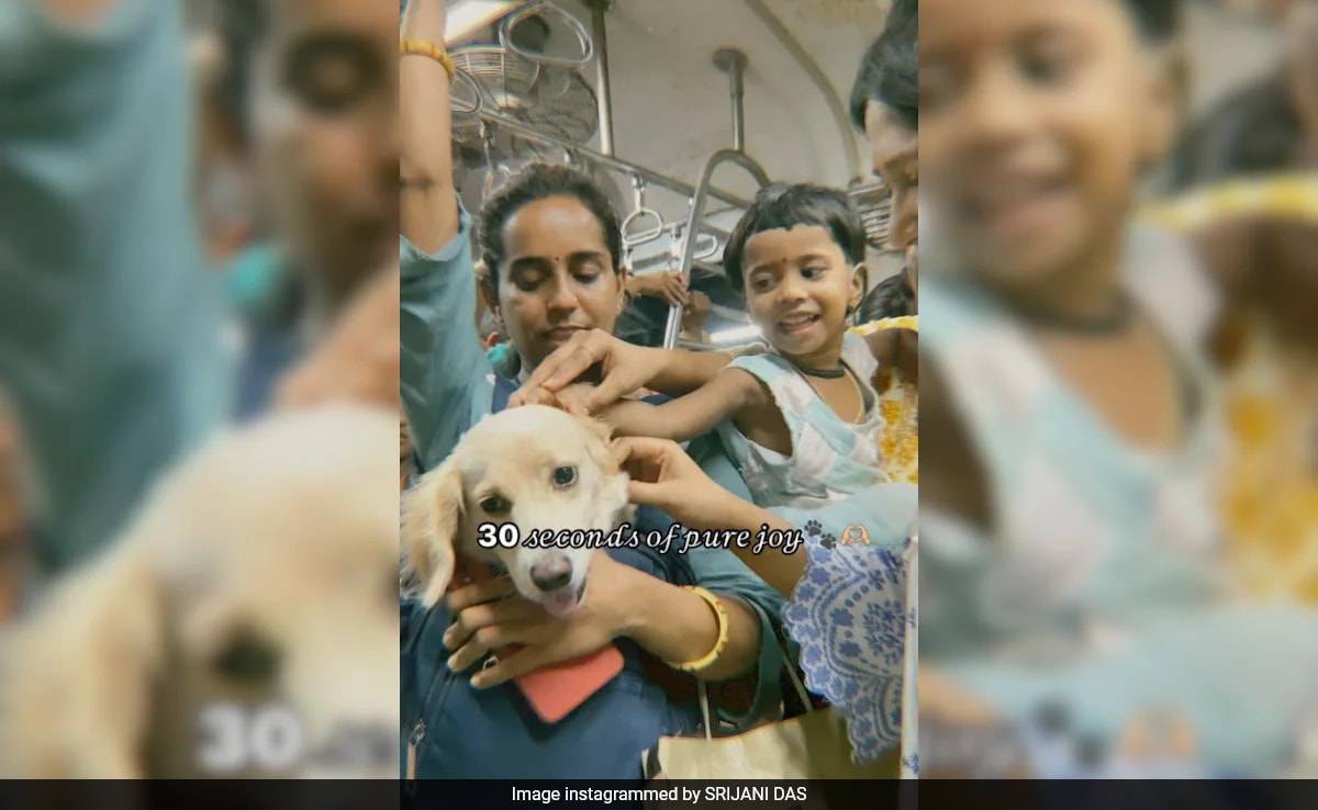 Watch: Adorable Pet Dog Travels On Mumbai Local, Leaves Passengers Delighted