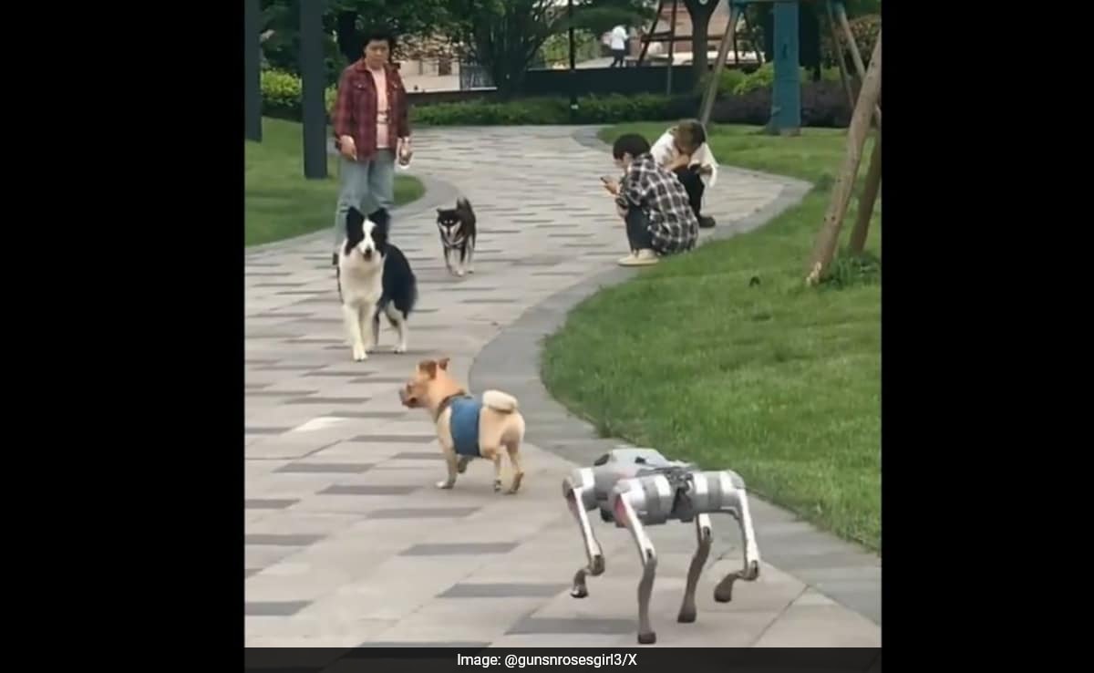 'Aliens Have Landed': Social Media Reacts To Dogs Meeting Robot Counterpart