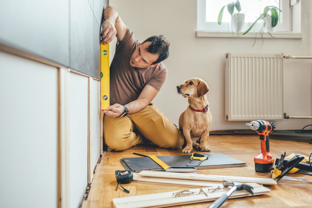 Stock image of dog helping with DIY.