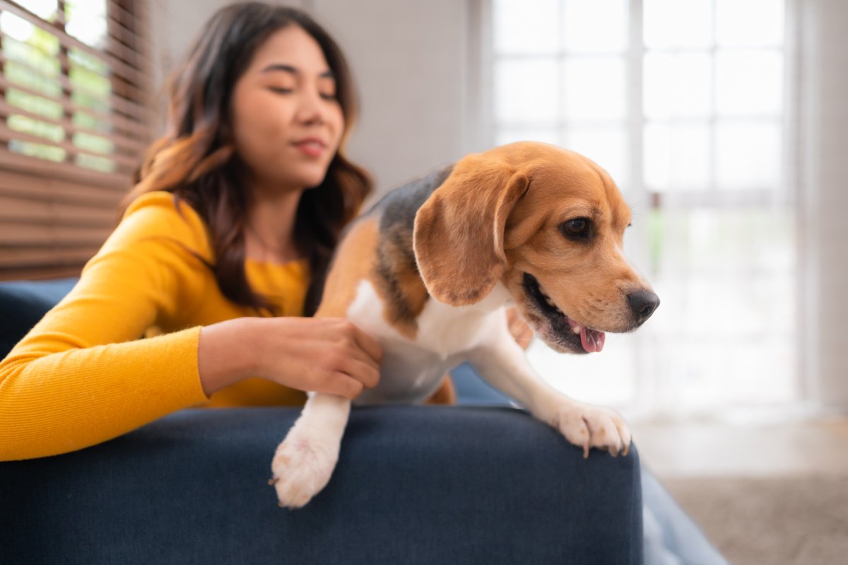 woman and her dog cuddling