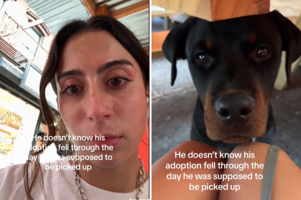 Woman sad about dog's adoption