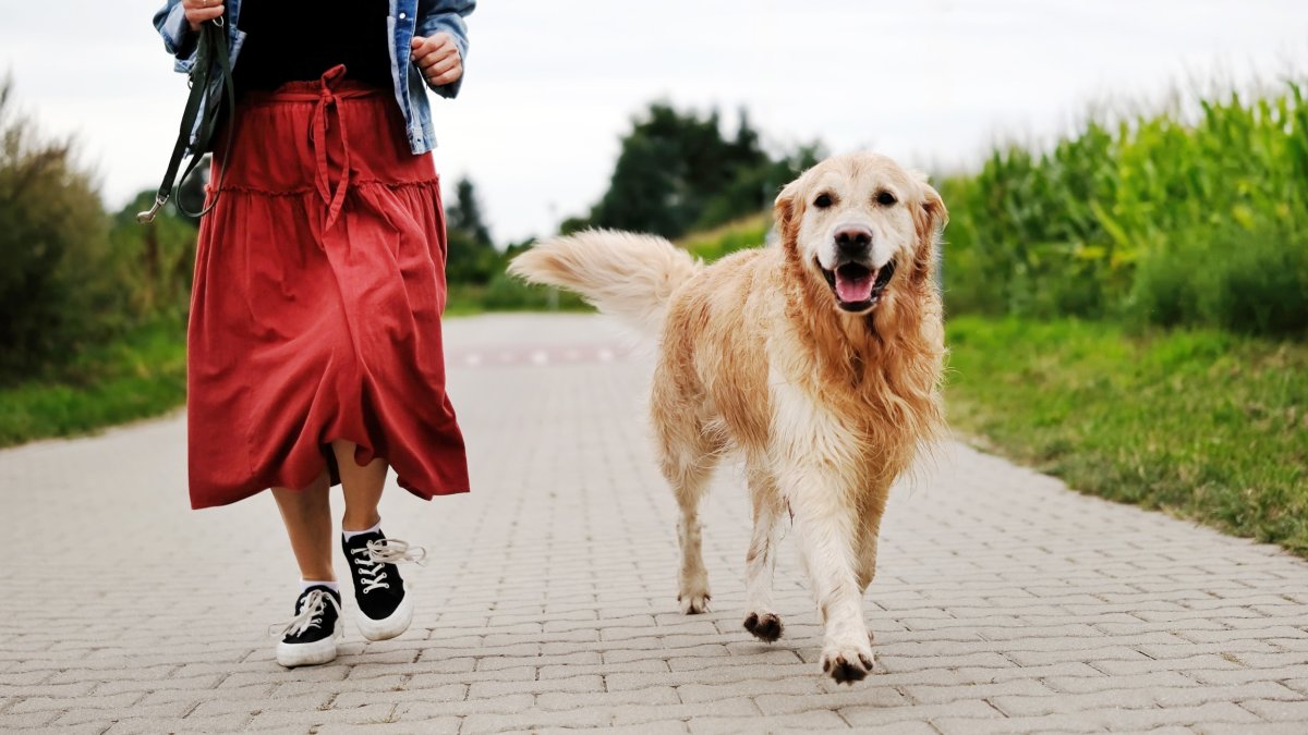 Woman walking with dog in park.