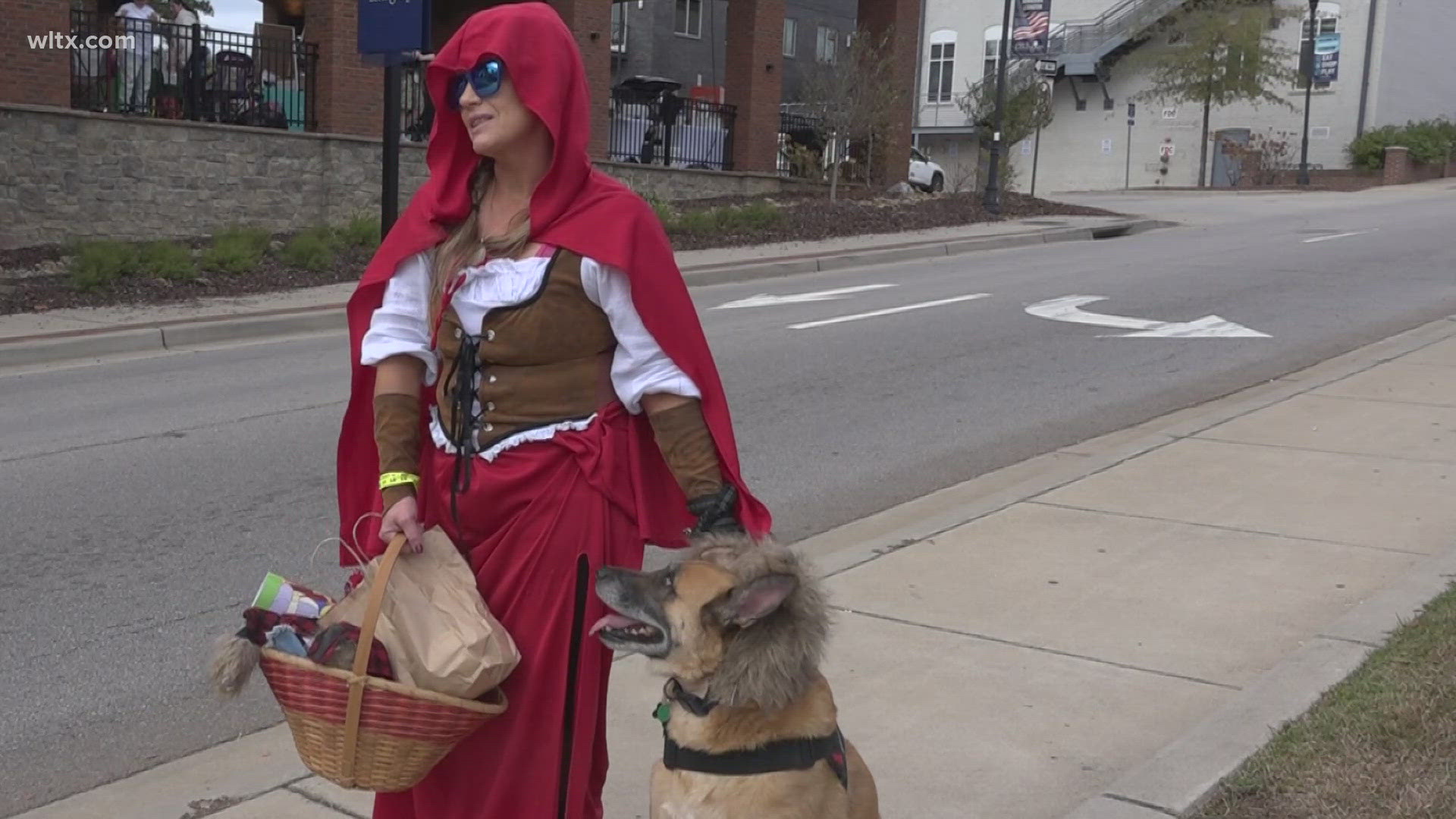 Woofstock fundraiser at Icehouse Amphitheater raised funds for the Humane Society’s programs, adopted three dogs, and featured a pet costume contest.