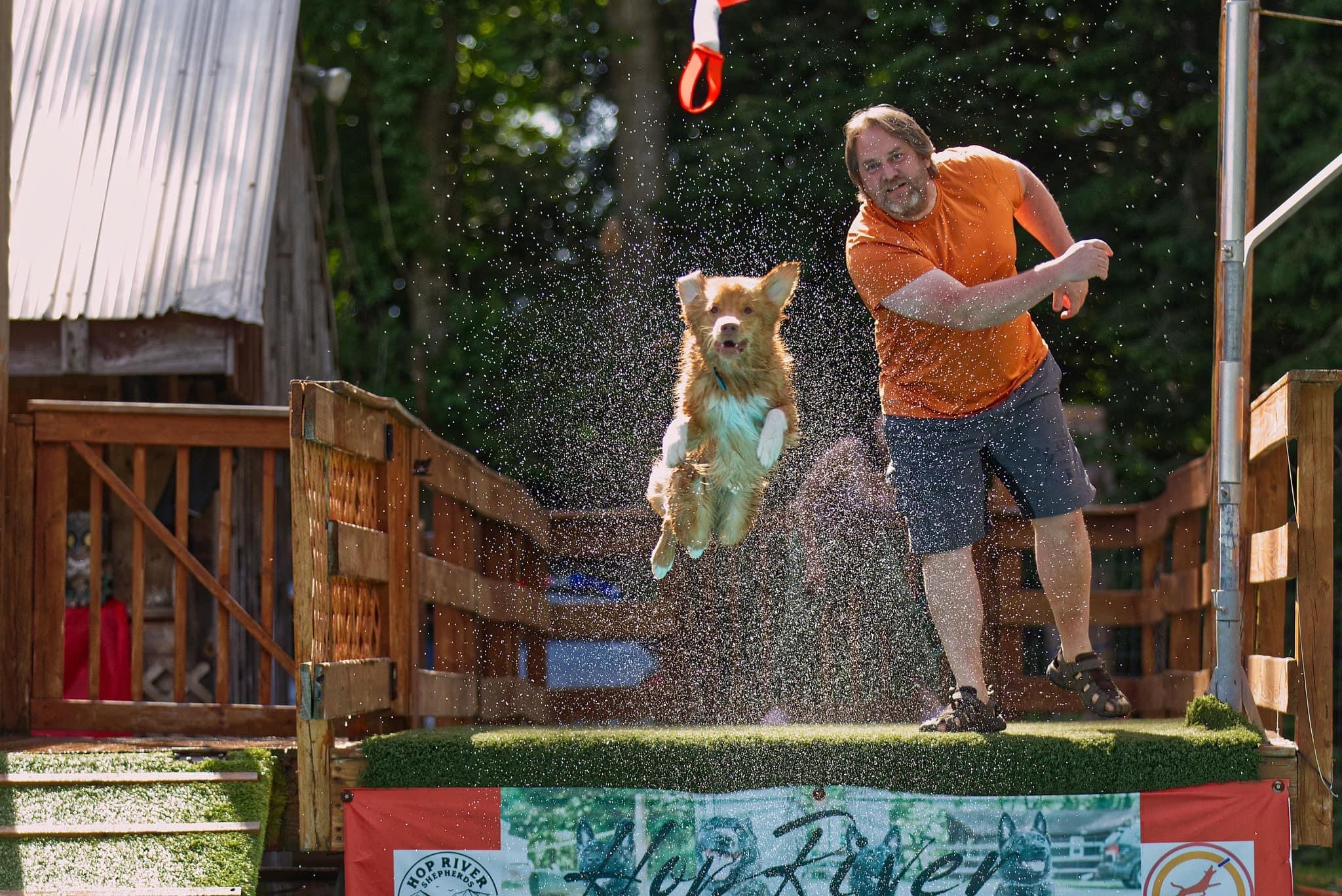 Local dog captures silver at dock diving nationals