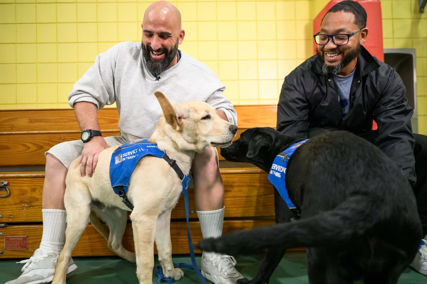 Derick Kaplinger (left, white shirt) and Walter Estrada (left, black shirt), who are both incarcerated, try to calm their service dog trainees Sumner (left, golden fur) and Pepper (right, black fur) after the two dogs ran up and sniffed each other as a part of the NEADS Prison Pup Program in the gymnasium at Northeastern Correctional Center’s Concord Farm.