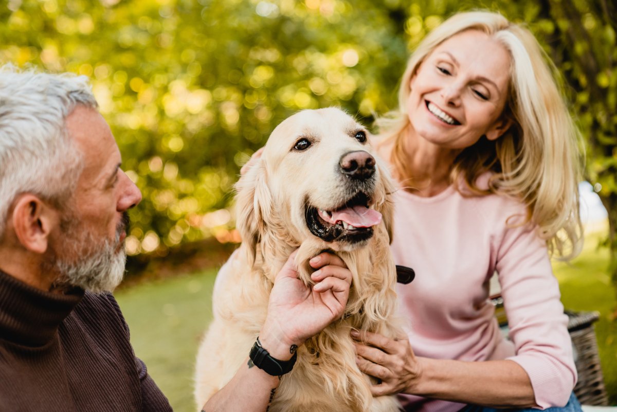 dog gets cuddled by elderly couple 