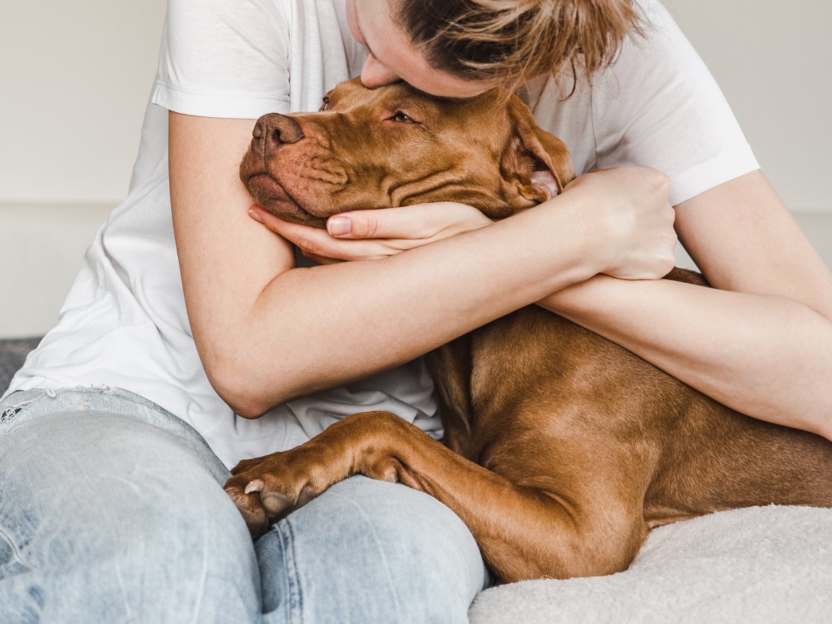 A dog hugs a woman