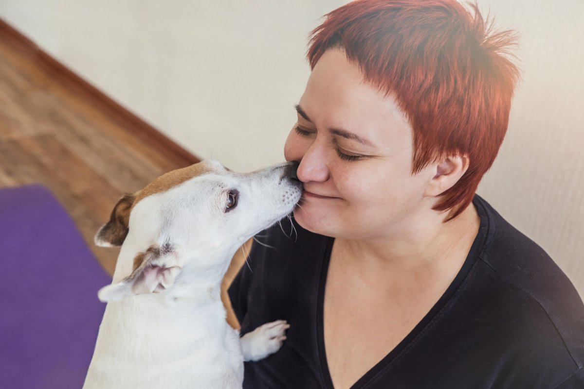 dog kissing woman's face