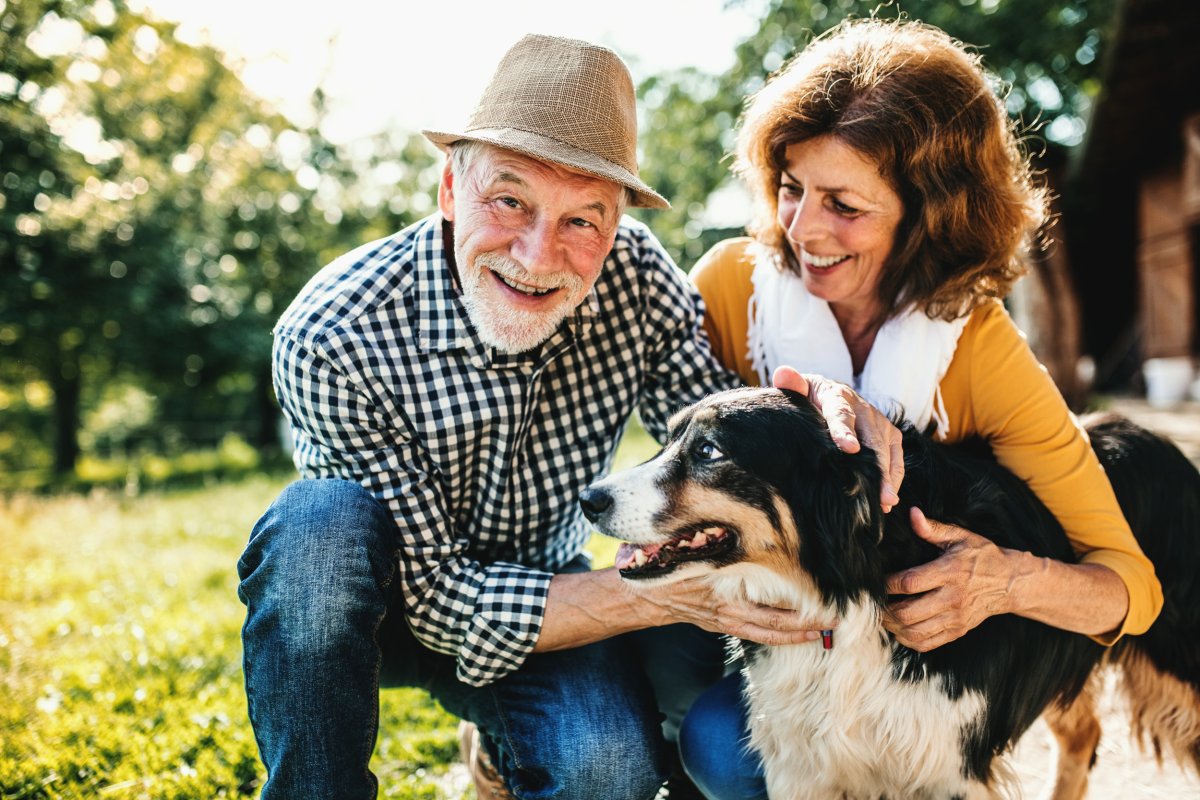 Dog petted by a couple.