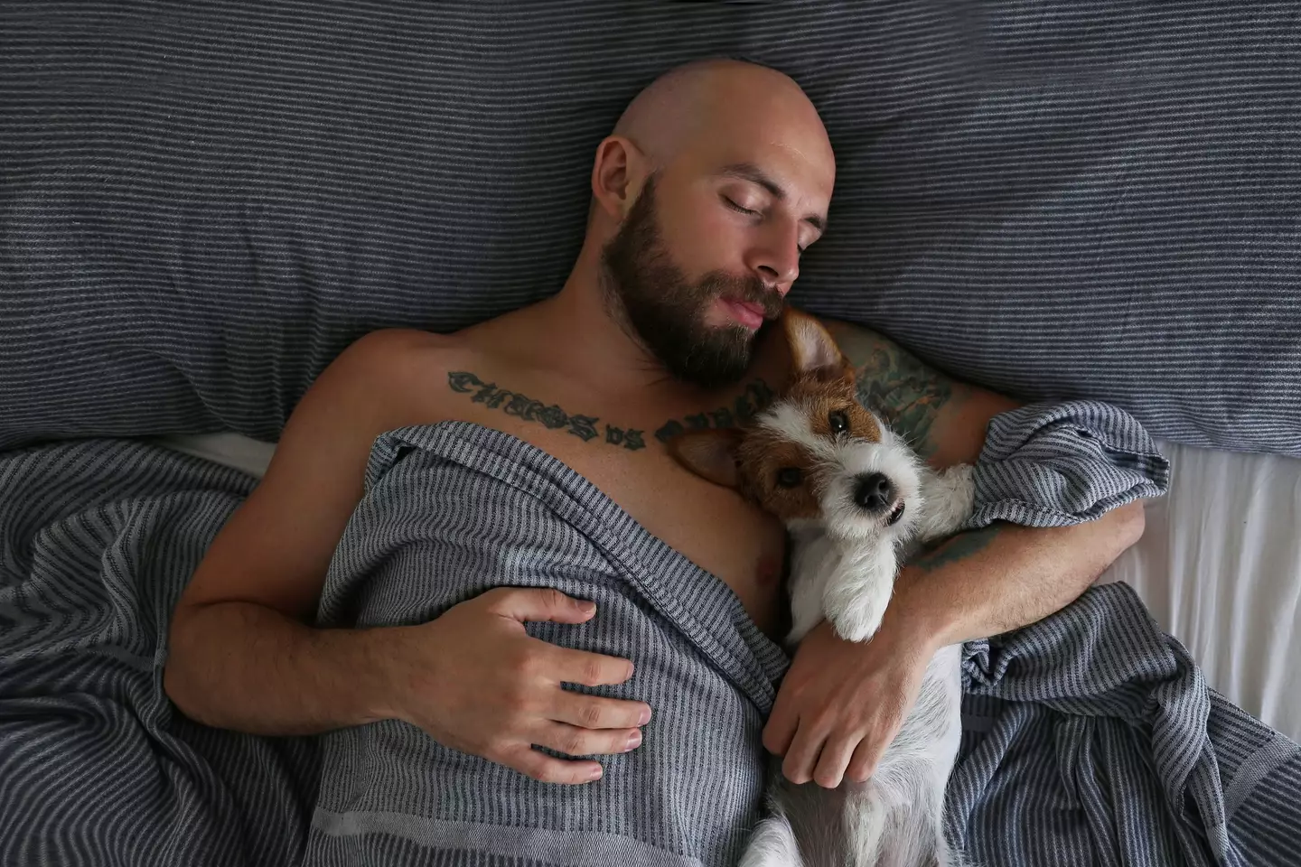 It's time to bid farewell to the nighttime dog cuddles. (Getty Stock Images))