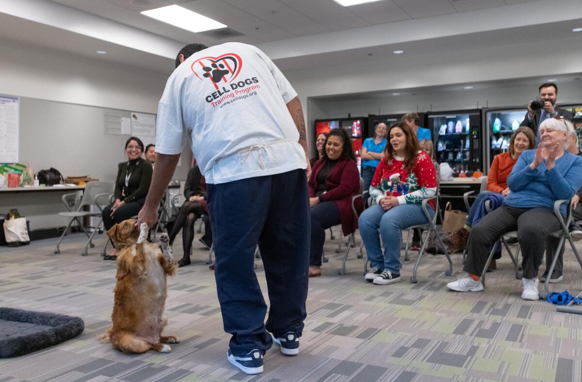 Penny, a rescue dog trained by youth incarcerated at O.C. Juvenile Hall, performs tricks for visitors on Tuesday.