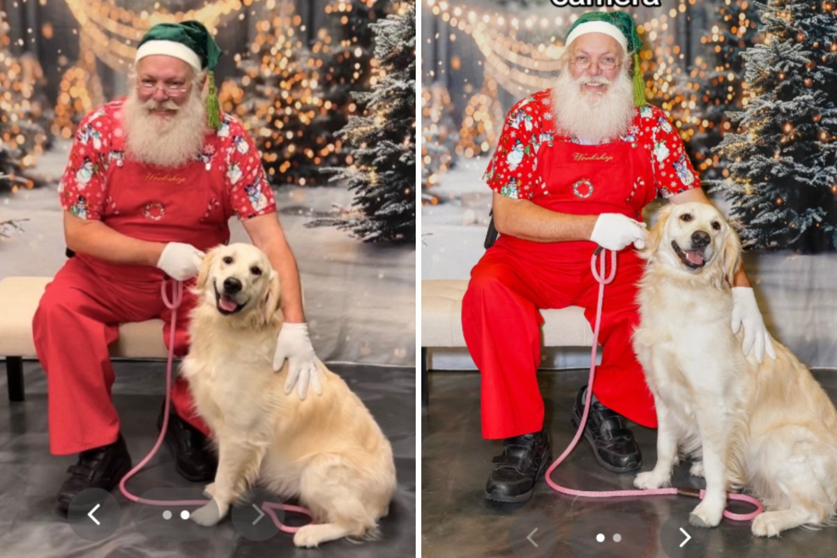 Golden retriever poses with Santa