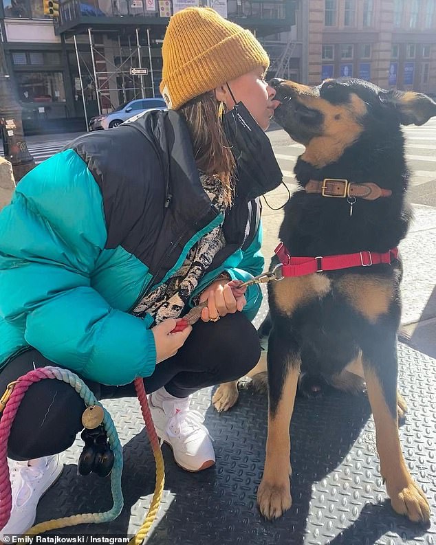 A team of Penn State researchers have warned that houshold dogs are 'overlooked spreaders' for zoonotic pathogens. Pictured: Emily Ratajkowski kissing her dog, Colombo