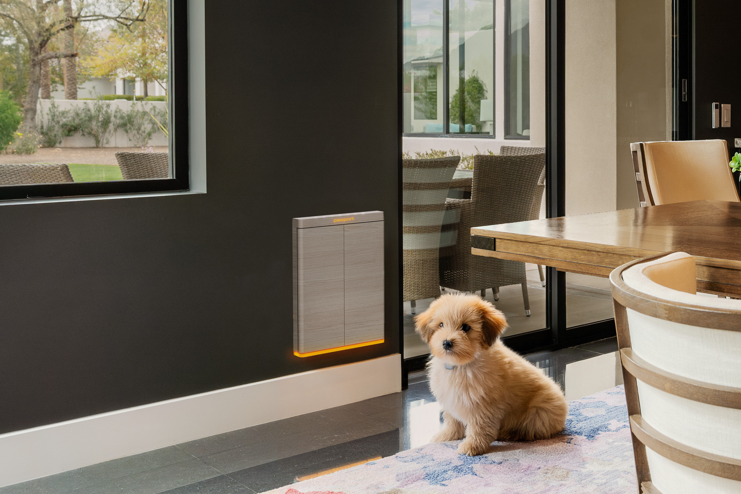 Cute pup beside dog door with glowing orange light.