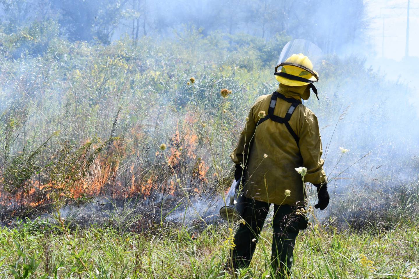 Learn how and why the Forest Preserve District of Will County uses prescribed burning for land management