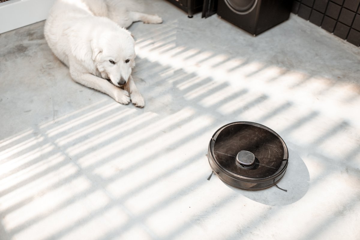 Dog laying next to robot vacuum.