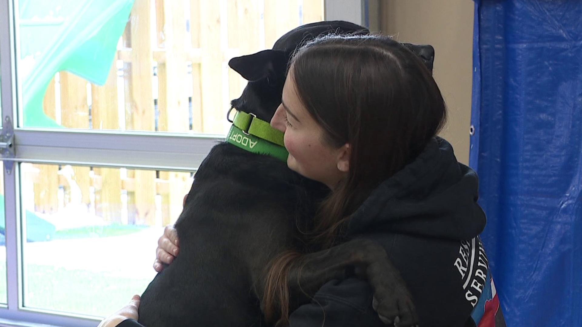 Rescue Pets Serving Vets teamed up with Green Dog Barkery in Wyoming for a special adoption event on Saturday.