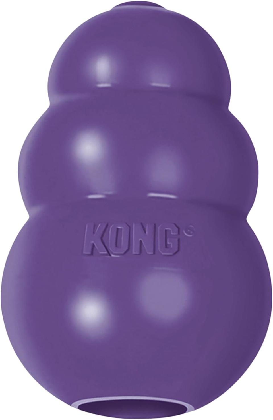 KONG Senior: Made for Older Dogs