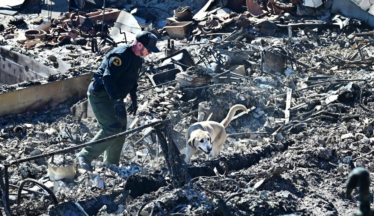 Sniffer dog LA fire