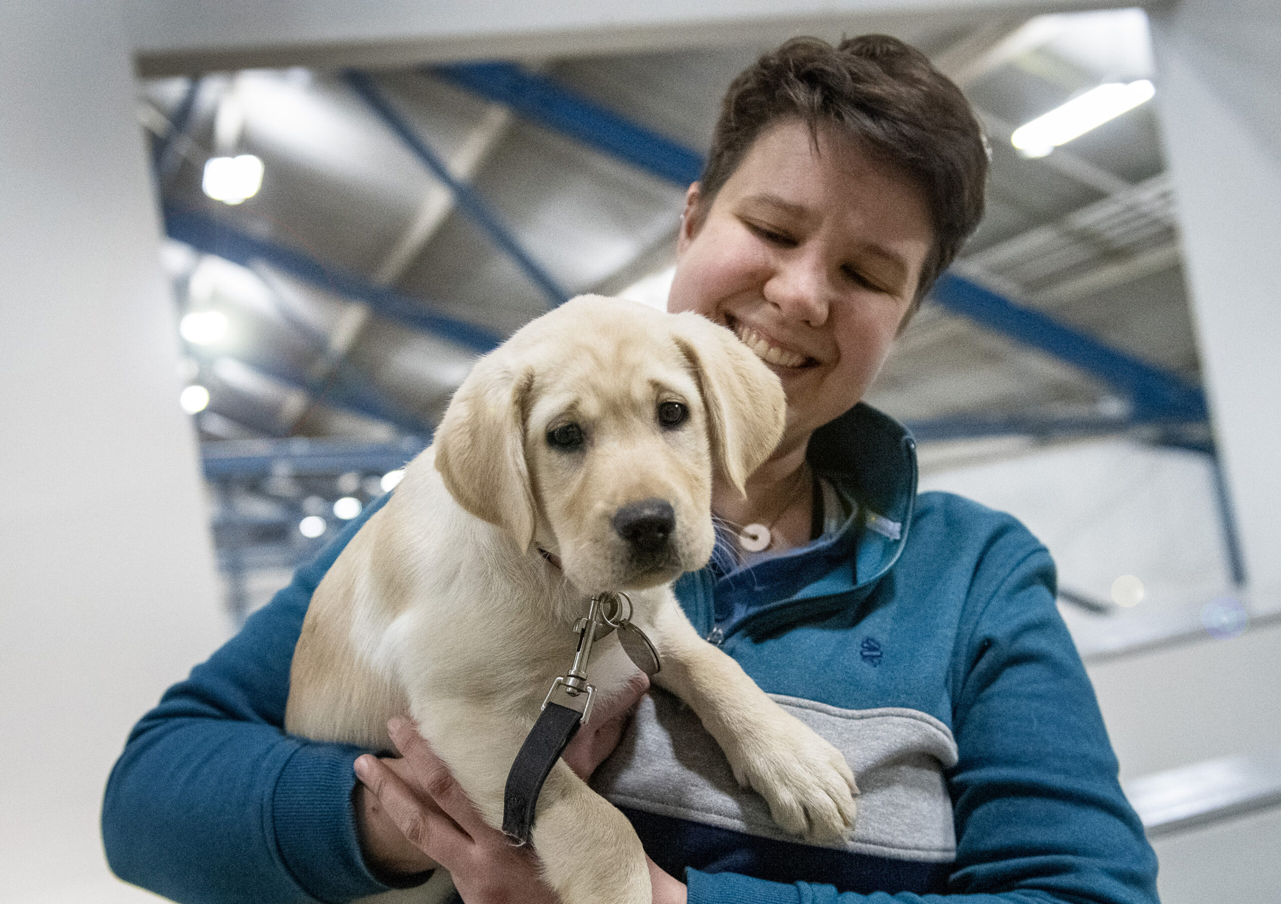 service puppy