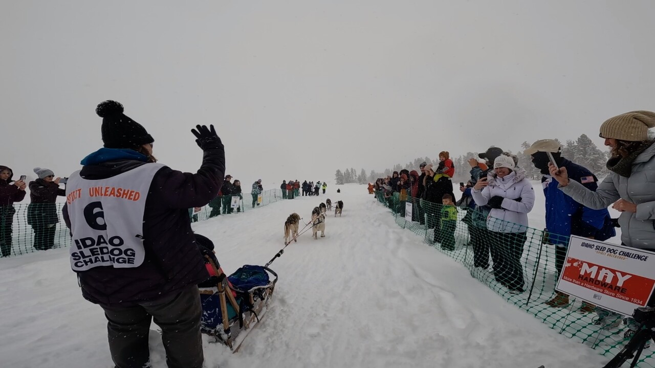 The ceremonial start