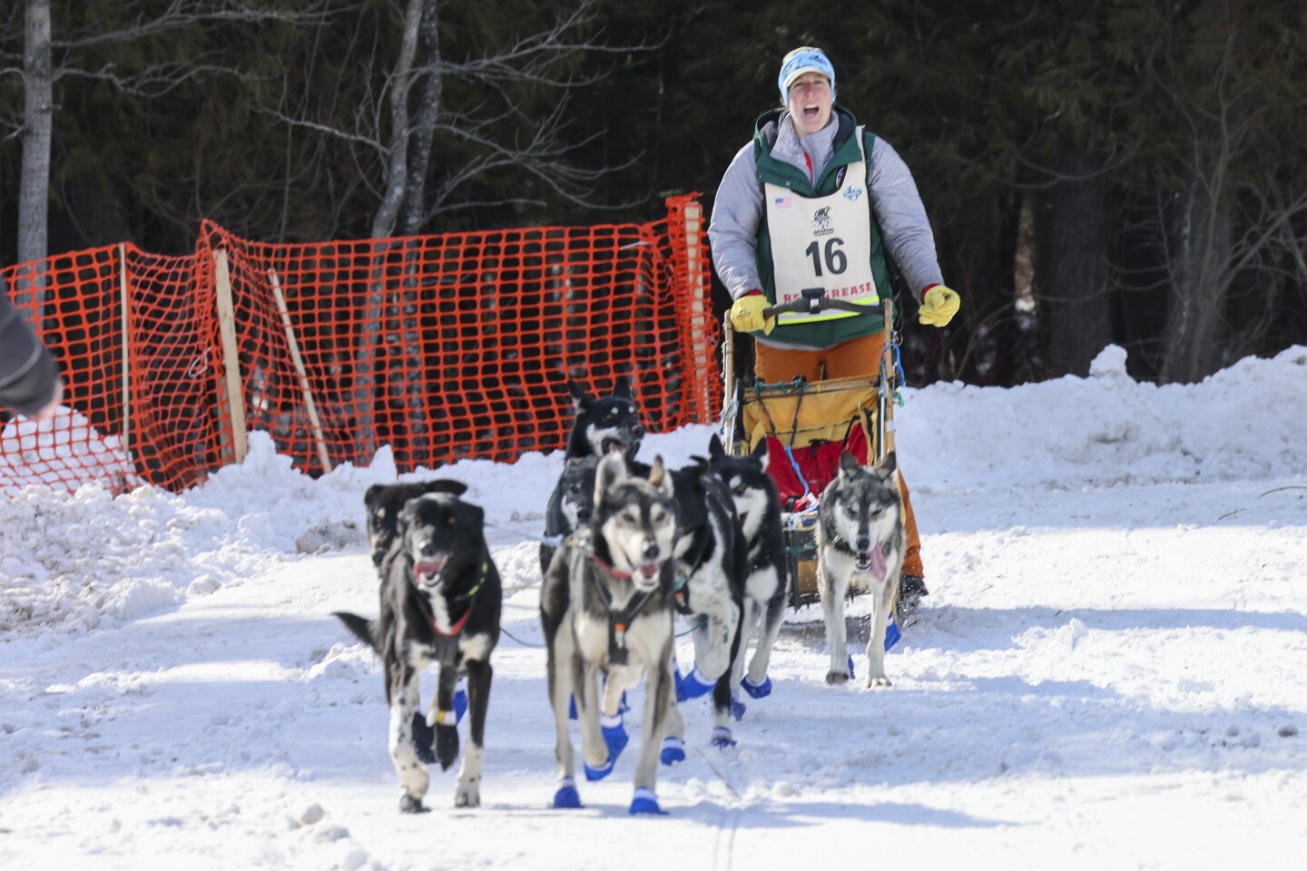 people at finish line of dogsled race