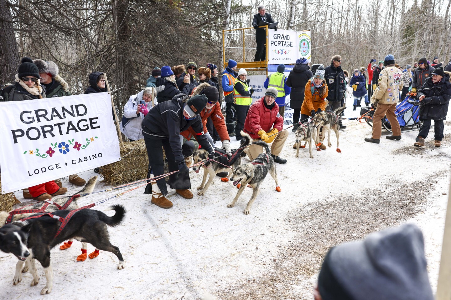 people race with sled dog teams