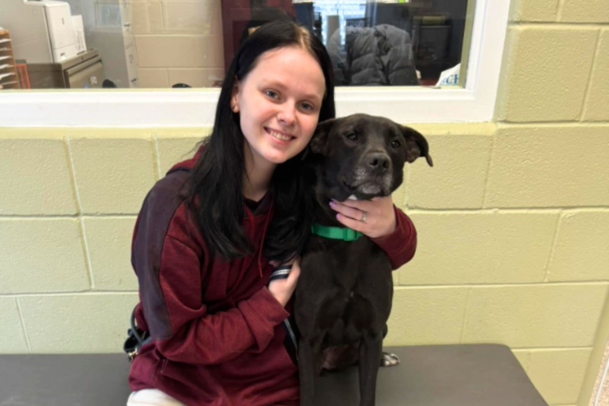 Overlooked black dog gets adopted