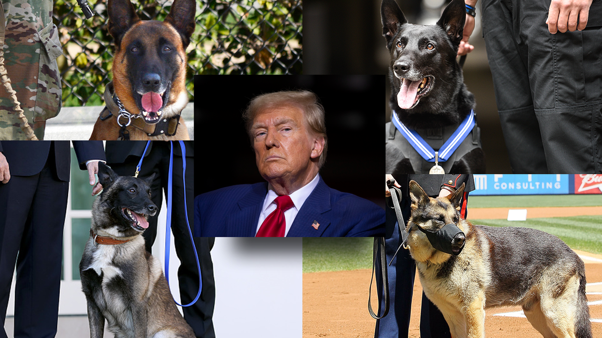 Trump and four military working dogs