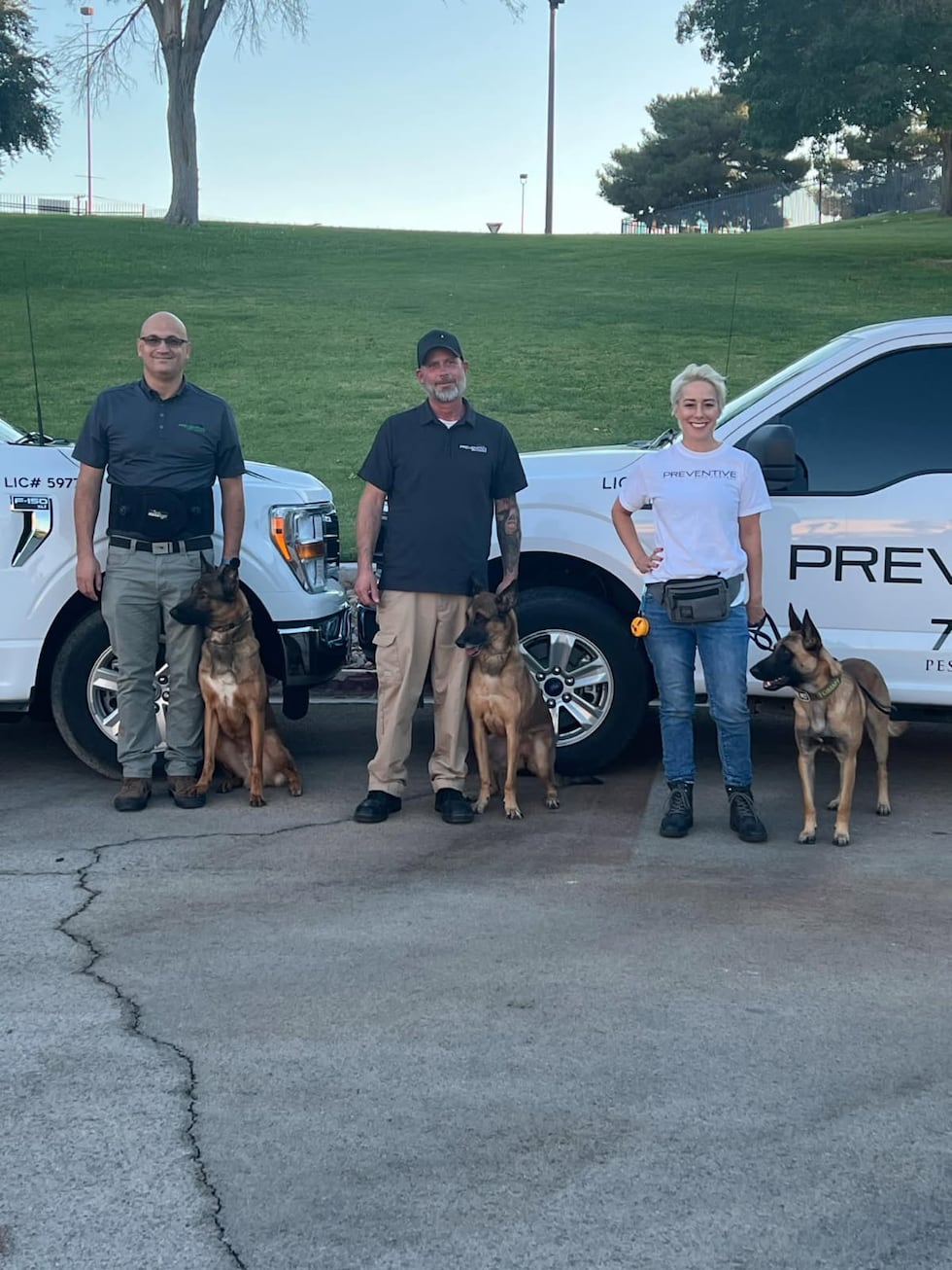 A look at Preventative Pest Control's three certified bed bug detecting dogs